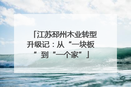 江苏邳州木业转型升级记：从“一块板”到“一个家”