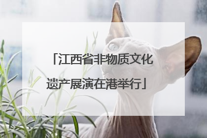 江西省非物质文化遗产展演在港举行