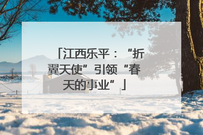 江西乐平：“折翼天使”引领“春天的事业”