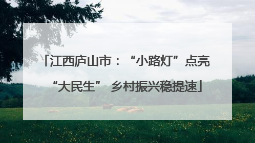 江西庐山市：“小路灯”点亮“大民生” 乡村振兴稳提速