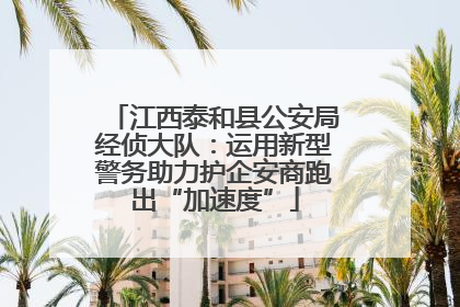 江西泰和县公安局经侦大队：运用新型警务助力护企安商跑出“加速度”