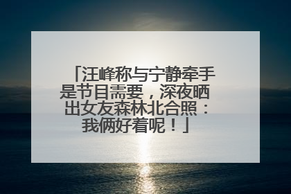 汪峰称与宁静牵手是节目需要，深夜晒出女友森林北合照：我俩好着呢！