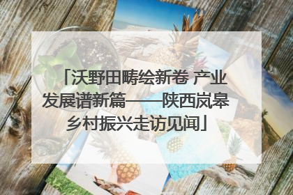 沃野田畴绘新卷 产业发展谱新篇——陕西岚皋乡村振兴走访见闻