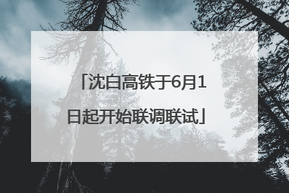 沈白高铁于6月1日起开始联调联试