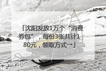沈阳发放1万个“消费券包”，每份3张共计180元，领取方式→