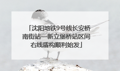 沈阳地铁9号线长安桥南街站—新立堡桥站区间右线盾构顺利始发