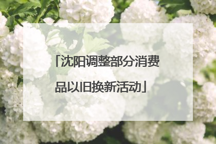 沈阳调整部分消费品以旧换新活动