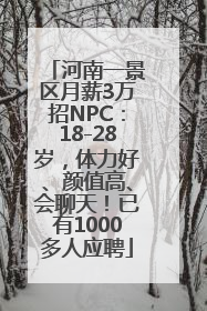 河南一景区月薪3万招NPC：18-28岁，体力好、颜值高、会聊天！已有1000多人应聘