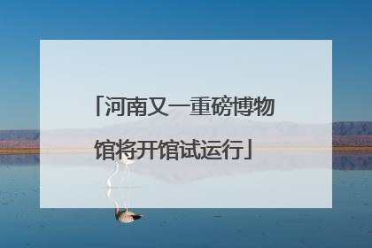 河南又一重磅博物馆将开馆试运行