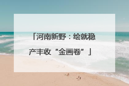 河南新野：绘就稳产丰收“金画卷”