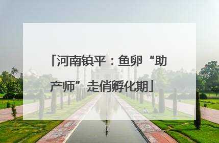 河南镇平：鱼卵“助产师”走俏孵化期