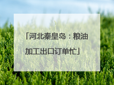河北秦皇岛：粮油加工出口订单忙