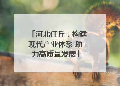 河北任丘：构建现代产业体系 助力高质量发展