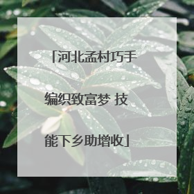 河北孟村巧手编织致富梦 技能下乡助增收