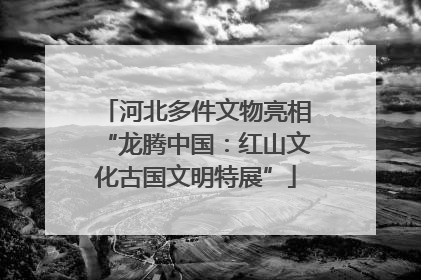 河北多件文物亮相“龙腾中国：红山文化古国文明特展”