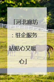 河北廊坊：驻企服务站贴心又暖心