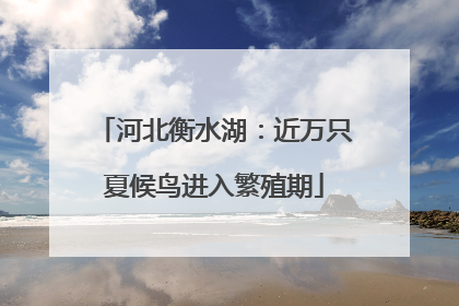 河北衡水湖：近万只夏候鸟进入繁殖期