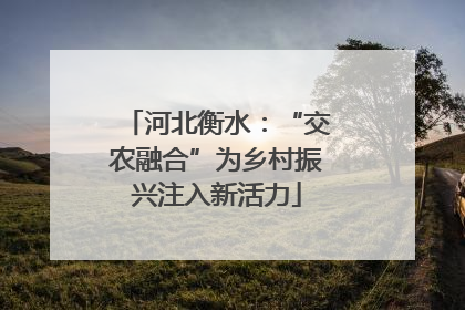 河北衡水：“交农融合”为乡村振兴注入新活力