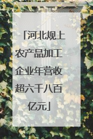 河北规上农产品加工企业年营收超六千八百亿元