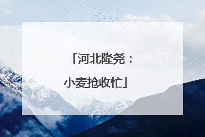河北隆尧：小麦抢收忙