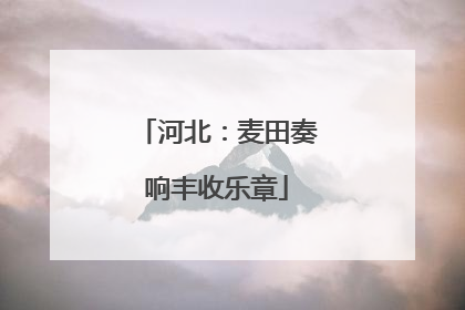 河北：麦田奏响丰收乐章