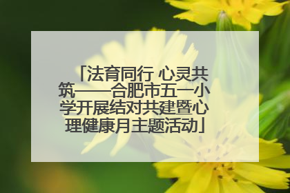 法育同行 心灵共筑——合肥市五一小学开展结对共建暨心理健康月主题活动