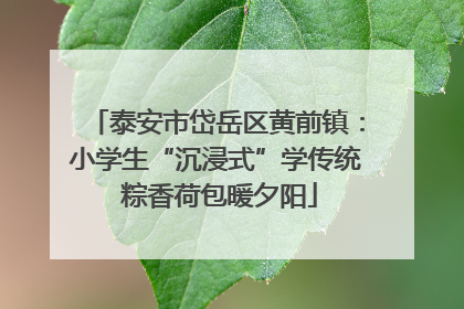 泰安市岱岳区黄前镇：小学生“沉浸式”学传统 粽香荷包暖夕阳