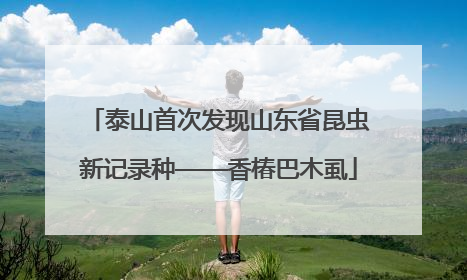 泰山首次发现山东省昆虫新记录种——香椿巴木虱