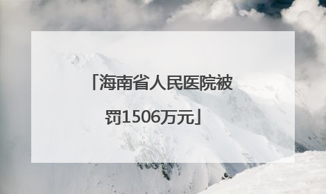 海南省人民医院被罚1506万元