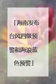 海南发布台风四级预警和海浪蓝色预警