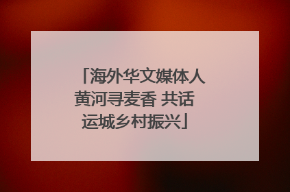 海外华文媒体人黄河寻麦香 共话运城乡村振兴