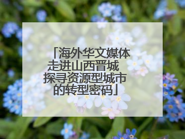 海外华文媒体走进山西晋城 探寻资源型城市的转型密码