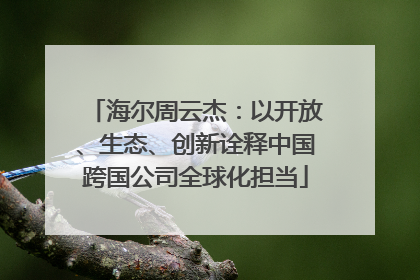 海尔周云杰：以开放、生态、创新诠释中国跨国公司全球化担当