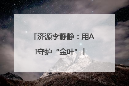 济源李静静：用AI守护“金叶”