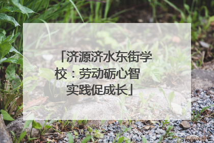 济源济水东街学校：劳动砺心智 实践促成长