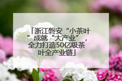 浙江磐安“小茶叶”成就“大产业”，全力打造50亿级茶叶全产业链