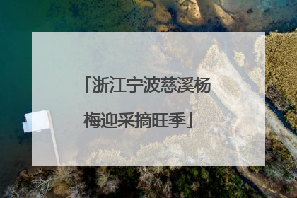 浙江宁波慈溪杨梅迎采摘旺季