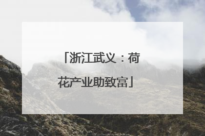 浙江武义：荷花产业助致富