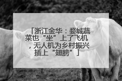 浙江金华：婺城蔬菜也“坐”上了飞机，无人机为乡村振兴插上“翅膀”