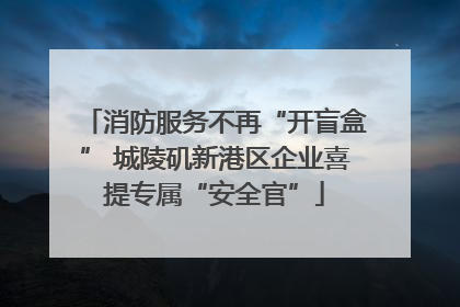 消防服务不再“开盲盒” 城陵矶新港区企业喜提专属“安全官”