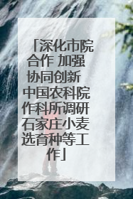 深化市院合作 加强协同创新 中国农科院作科所调研石家庄小麦选育种等工作