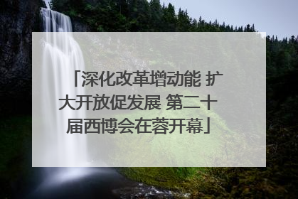 深化改革增动能 扩大开放促发展 第二十届西博会在蓉开幕