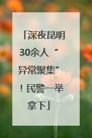 深夜昆明30余人“异常聚集”！民警一举拿下