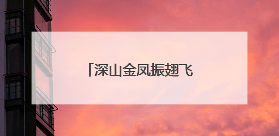 深山金凤振翅飞，钱大妈推动宁都黄鸡产业崛起