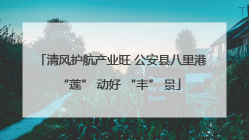 清风护航产业旺 公安县八里港 “莲” 动好 “丰” 景