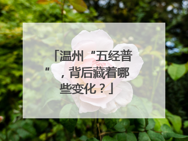 温州“五经普”，背后藏着哪些变化？