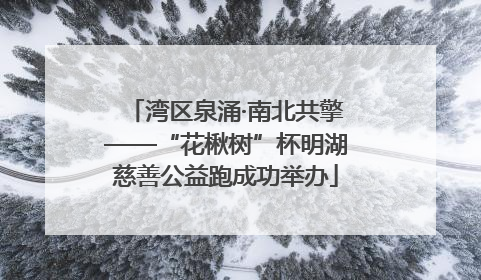 湾区泉涌·南北共擎——“花楸树”杯明湖慈善公益跑成功举办