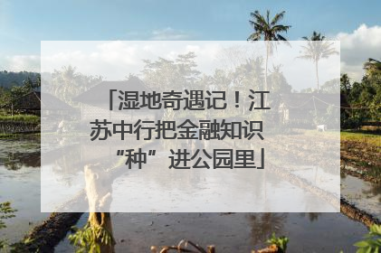 湿地奇遇记！江苏中行把金融知识“种”进公园里