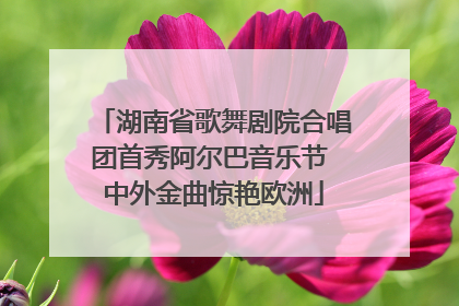湖南省歌舞剧院合唱团首秀阿尔巴音乐节 中外金曲惊艳欧洲