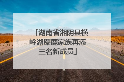 湖南省湘阴县横岭湖麋鹿家族再添三名新成员